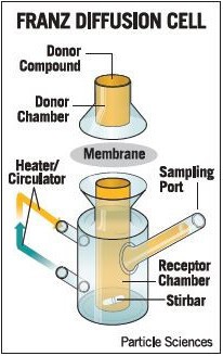 Fig. 2 Franz diffusion cell.